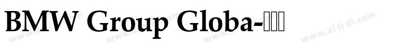 BMW Group Globa字体转换 BMW Group Globa字体转换